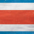 Costa Rican Flag Distressed PS4 Console and Controller Bundle Skin